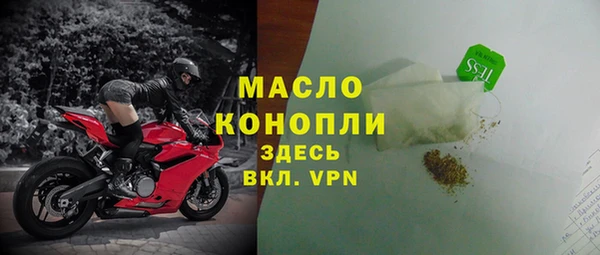 индика Арсеньев
