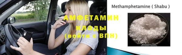 индика Арсеньев