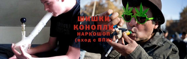 индика Арсеньев