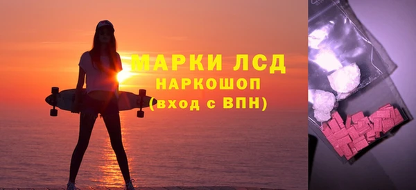 spice Аркадак