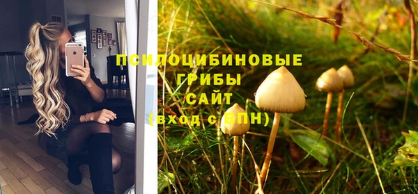 таблы Армянск