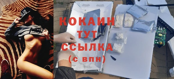 spice Аркадак