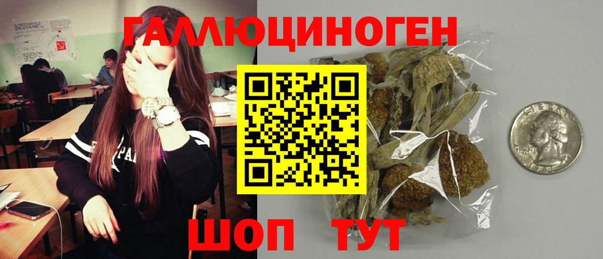 Галлюциногенные грибы Psilocybe Спасск-Дальний
