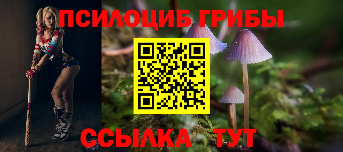 Спасск-Дальний  Галлюциногенные грибы ЛСД  Псилоцибиновые грибы мухоморы  Вход с VPN 