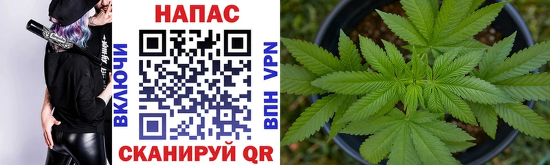 где купить наркотик  Спасск-Дальний  kraken ТОР  Бошки Шишки Ganja 